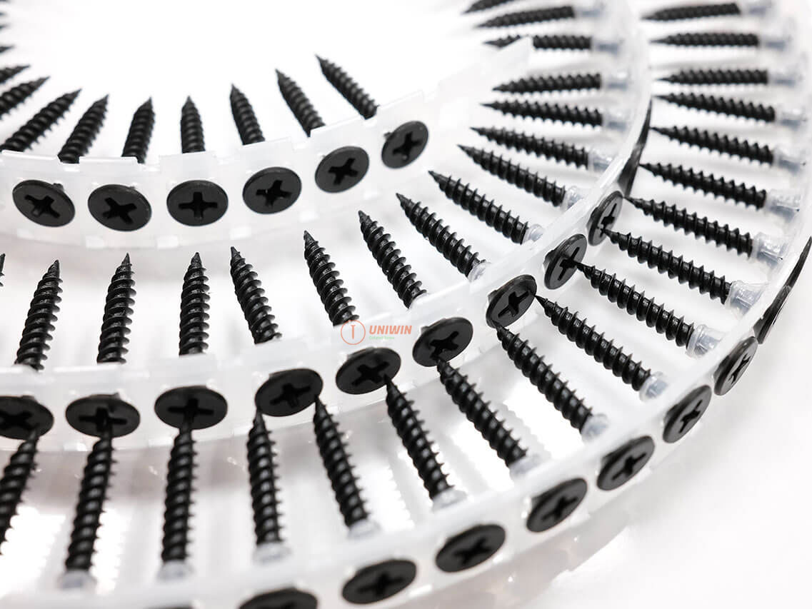 collated drywall screws